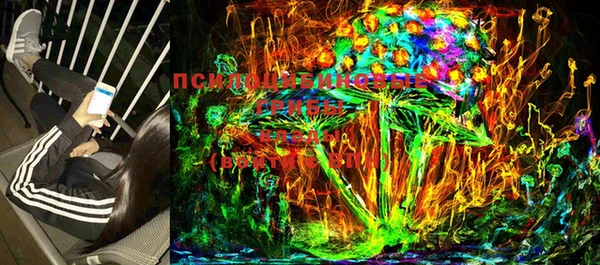 крисы Переславль-Залесский