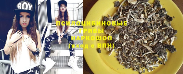 крисы Переславль-Залесский