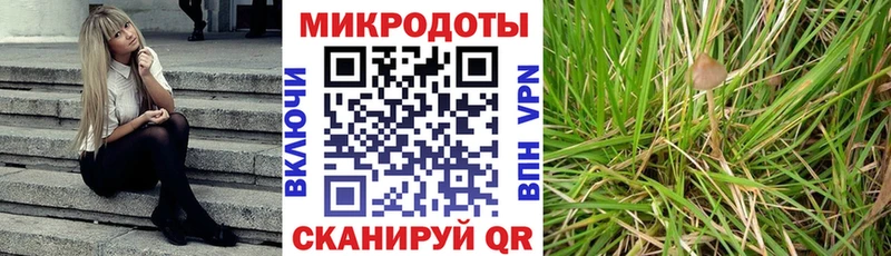 Купить  Татарск  Галлюциногенные грибы мухоморы